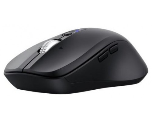 RATON TRUST FERRO BK-DU6 RATON TRUST FERRO BK