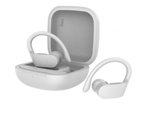 DAE-AUR DW2023-DU4 DAE-AUR DW2023