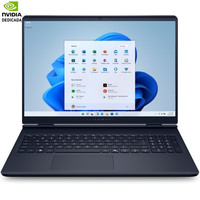DELL-P NWCPG